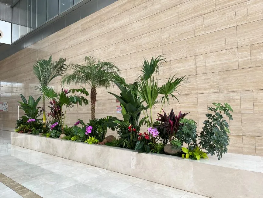 宁波鄞州专业盆景租赁，开启室内绿植美化之旅